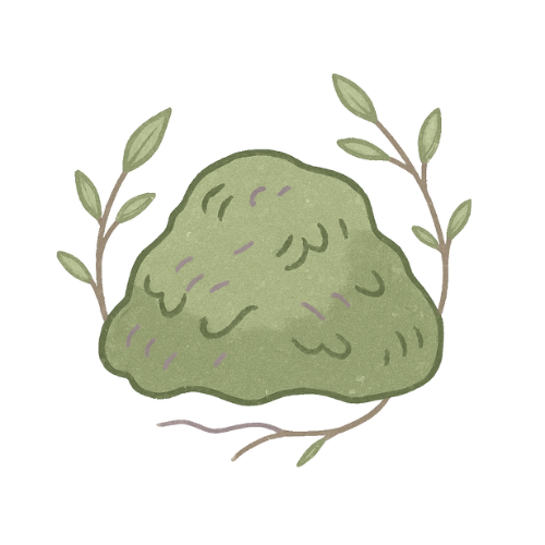 Moss & Meaning